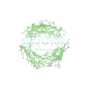 PRYNT STEALER | PASSWORD & COOKIES STEALER | CRYPTO WALLET STEALER